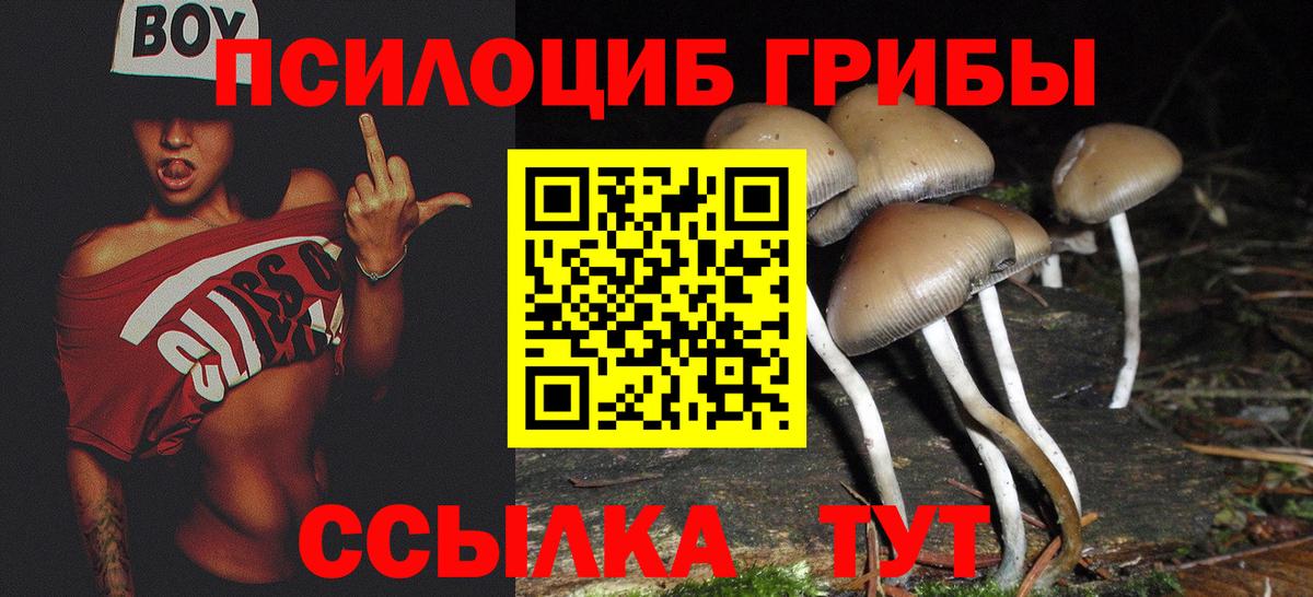 Псилоцибиновые грибы GOLDEN TEACHER Димитровград